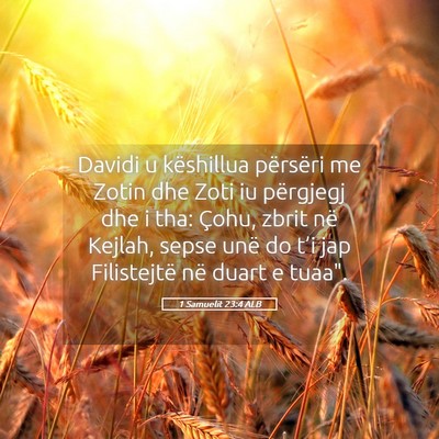 Picture 05 - 1 Samuelit 23:4 ALB - Davidi u këshillua përsëri me Zotin dhe Zoti - Bible Verse Picture