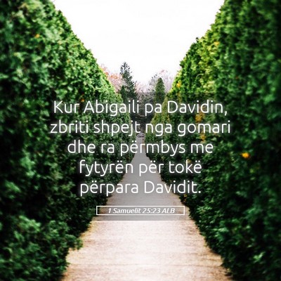 Picture 05 - 1 Samuelit 25:23 ALB - Kur Abigaili pa Davidin, zbriti shpejt nga gomari - Bible Verse Picture