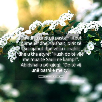 Picture 05 - 1 Samuelit 26:6 ALB - Davidi iu drejtua pastaj Hiteut Alimelek dhe - Bible Verse Picture