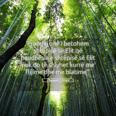 Picture 05 - 1 Samuelit 3:14 ALB - Prandaj unë i betohem shtëpisë së Elit që - Bible Verse Picture