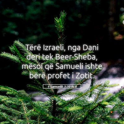 Picture 05 - 1 Samuelit 3:20 ALB - Tërë Izraeli, nga Dani deri tek Beer-Sheba, - Bible Verse Picture