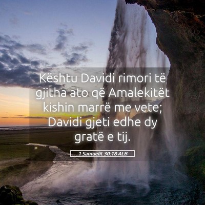Picture 05 - 1 Samuelit 30:18 ALB - Kështu Davidi rimori të gjitha ato që - Bible Verse Picture