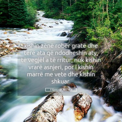 Picture 05 - 1 Samuelit 30:2 ALB - kishin zënë robër gratë dhe tërë ata që - Bible Verse Picture