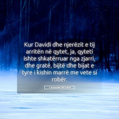 Picture 05 - 1 Samuelit 30:3 ALB - Kur Davidi dhe njerëzit e tij arritën në - Bible Verse Picture