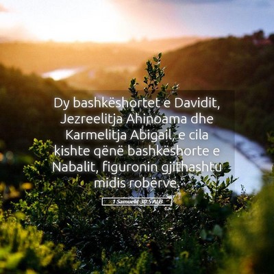 Picture 05 - 1 Samuelit 30:5 ALB - Dy bashkëshortet e Davidit, Jezreelitja Ahinoama - Bible Verse Picture