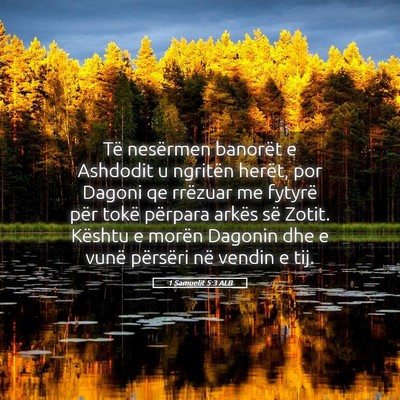 Picture 05 - 1 Samuelit 5:3 ALB - Të nesërmen banorët e Ashdodit u ngritën - Bible Verse Picture