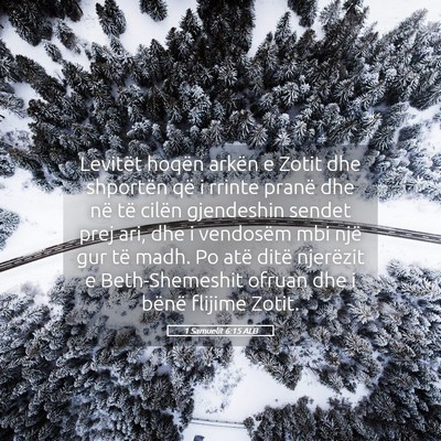 Picture 05 - 1 Samuelit 6:15 ALB - Levitët hoqën arkën e Zotit dhe shportën që - Bible Verse Picture