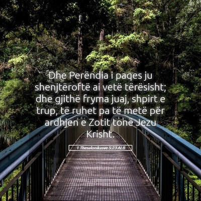 Picture 05 - 1 Thesalonikasve 5:23 ALB - Dhe Perëndia i paqes ju shenjtëroftë ai vetë - Bible Verse Picture