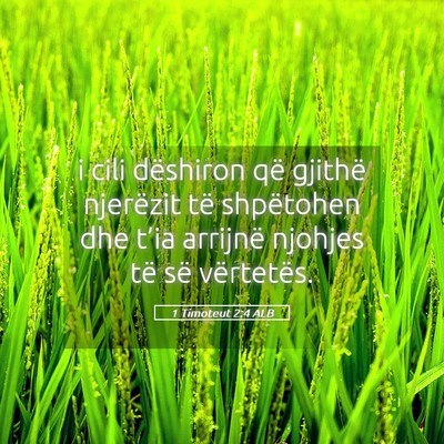 Picture 05 - 1 Timoteut 2:4 ALB - i cili dëshiron që gjithë njerëzit të - Bible Verse Picture