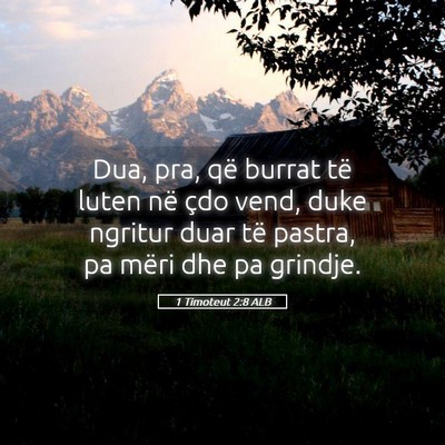 Picture 05 - 1 Timoteut 2:8 ALB - Dua, pra, që burrat të luten në çdo vend, - Bible Verse Picture