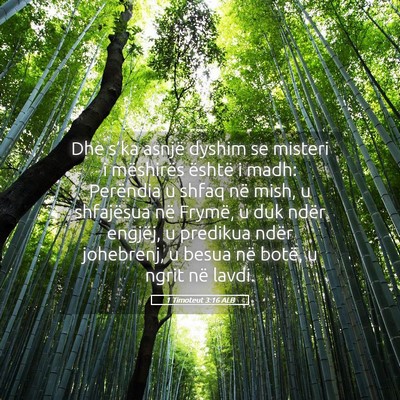 Picture 05 - 1 Timoteut 3:16 ALB - Dhe s’ka asnjë dyshim se misteri i mëshirës - Bible Verse Picture