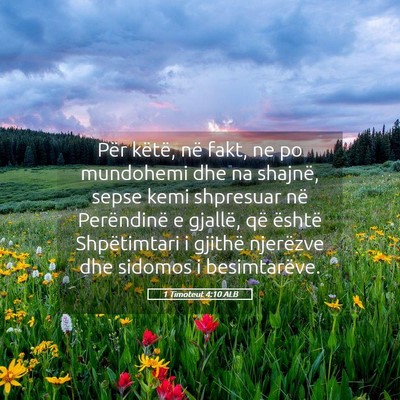 Picture 05 - 1 Timoteut 4:10 ALB - Për këtë, në fakt, ne po mundohemi dhe na - Bible Verse Picture