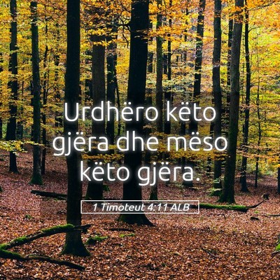 Picture 05 - 1 Timoteut 4:11 ALB - Urdhëro këto gjëra dhe mëso këto - Bible Verse Picture