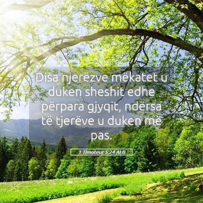 Picture 05 - 1 Timoteut 5:24 ALB - Disa njerëzve mëkatet u duken sheshit edhe - Bible Verse Picture
