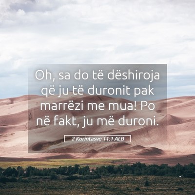 Picture 05 - 2 Korintasve 11:1 ALB - Oh, sa do të dëshiroja që ju të duronit pak - Bible Verse Picture