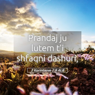 Picture 05 - 2 Korintasve 2:8 ALB - Prandaj ju lutem t’i shfaqni - Bible Verse Picture