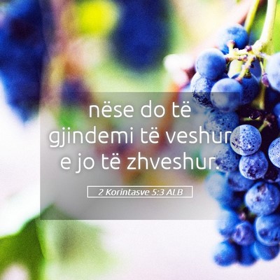 Picture 05 - 2 Korintasve 5:3 ALB - nëse do të gjindemi të veshur e jo të - Bible Verse Picture