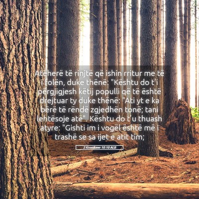 Picture 05 - 2 Kronikave 10:10 ALB - Atëherë të rinjtë që ishin rritur me të i - Bible Verse Picture