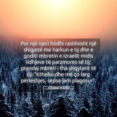 Picture 05 - 2 Kronikave 18:33 ALB - Por një njeri hodhi rastësisht një shigjetë - Bible Verse Picture