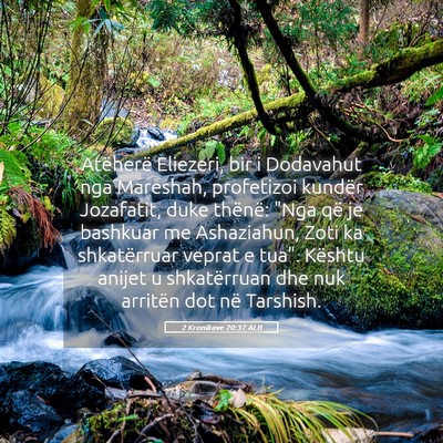 Picture 05 - 2 Kronikave 20:37 ALB - Atëherë Eliezeri, bir i Dodavahut nga Mareshah, - Bible Verse Picture