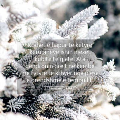 Picture 05 - 2 Kronikave 3:13 ALB - Krahët e hapur të këtyre kerubinëve ishin - Bible Verse Picture