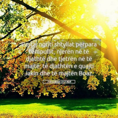 Picture 05 - 2 Kronikave 3:17 ALB - Pastaj ngriti shtyllat përpara tempullit, - Bible Verse Picture