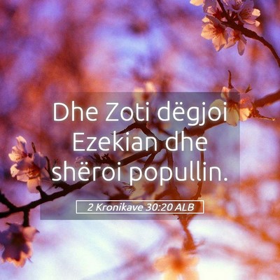 Picture 05 - 2 Kronikave 30:20 ALB - Dhe Zoti dëgjoi Ezekian dhe shëroi - Bible Verse Picture