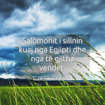 Picture 05 - 2 Kronikave 9:28 ALB - Salomonit i sillnin kuaj nga Egjipti dhe nga të - Bible Verse Picture