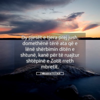 Picture 05 - 2 Mbretërve 11:7 ALB - Dy pjesët e tjera prej jush, domethënë tërë - Bible Verse Picture