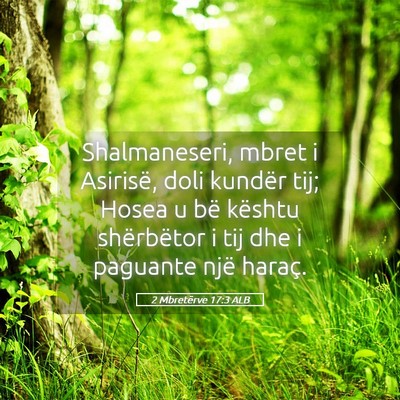 Picture 05 - 2 Mbretërve 17:3 ALB - Shalmaneseri, mbret i Asirisë, doli kundër tij; - Bible Verse Picture