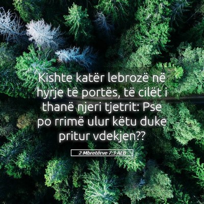 Picture 05 - 2 Mbretërve 7:3 ALB - Kishte katër lebrozë në hyrje të portës, të - Bible Verse Picture