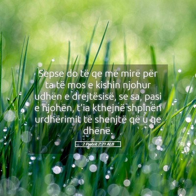 Picture 05 - 2 Pjetrit 2:21 ALB - Sepse do të qe më mirë për ta të mos e - Bible Verse Picture