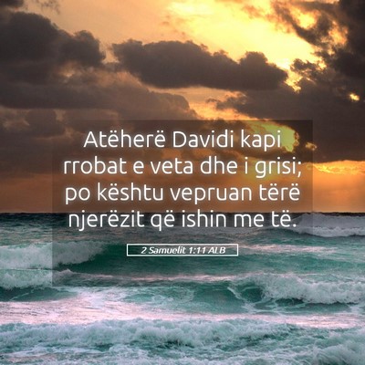 Picture 05 - 2 Samuelit 1:11 ALB - Atëherë Davidi kapi rrobat e veta dhe i grisi; - Bible Verse Picture