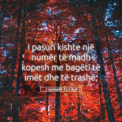 Picture 05 - 2 Samuelit 12:2 ALB - I pasuri kishte një numër të madh kopesh me - Bible Verse Picture