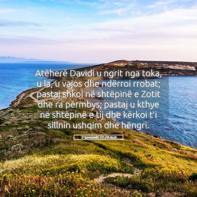 Picture 05 - 2 Samuelit 12:20 ALB - Atëherë Davidi u ngrit nga toka, u la, u vajos - Bible Verse Picture