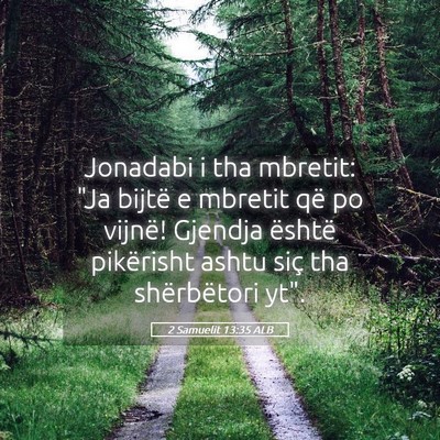 Picture 05 - 2 Samuelit 13:35 ALB - Jonadabi i tha mbretit: 