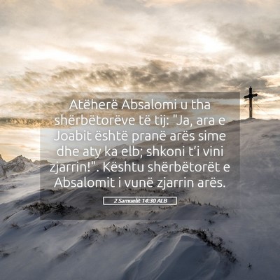Picture 05 - 2 Samuelit 14:30 ALB - Atëherë Absalomi u tha shërbëtorëve të tij: - Bible Verse Picture