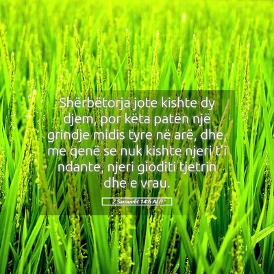 Picture 05 - 2 Samuelit 14:6 ALB - Shërbëtorja jote kishte dy djem, por këta - Bible Verse Picture