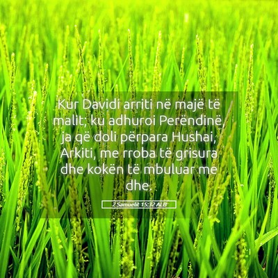 Picture 05 - 2 Samuelit 15:32 ALB - Kur Davidi arriti në majë të malit; ku adhuroi - Bible Verse Picture