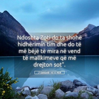 Picture 05 - 2 Samuelit 16:12 ALB - Ndoshta Zoti do ta shohë hidhërimin tim dhe do - Bible Verse Picture
