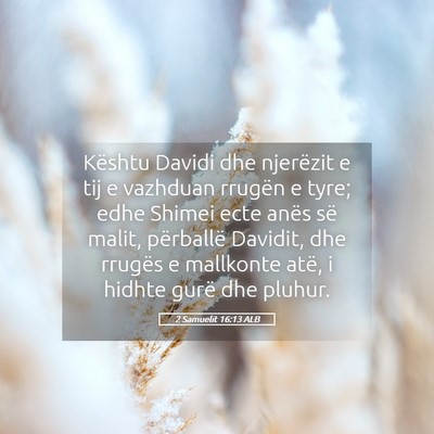 Picture 05 - 2 Samuelit 16:13 ALB - Kështu Davidi dhe njerëzit e tij e vazhduan - Bible Verse Picture