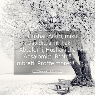 Picture 05 - 2 Samuelit 16:16 ALB - Kur Hushai, Arkiti, miku i Davidit, arriti tek - Bible Verse Picture
