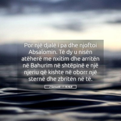 Picture 05 - 2 Samuelit 17:18 ALB - Por një djalë i pa dhe njoftoi Absalomin. Të - Bible Verse Picture