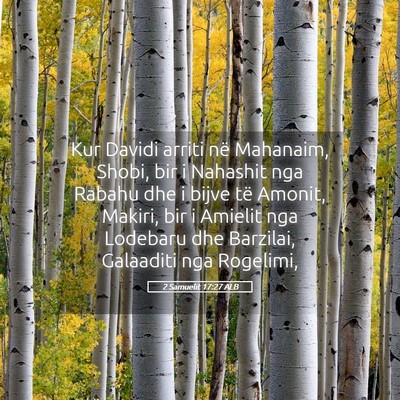Picture 05 - 2 Samuelit 17:27 ALB - Kur Davidi arriti në Mahanaim, Shobi, bir i - Bible Verse Picture