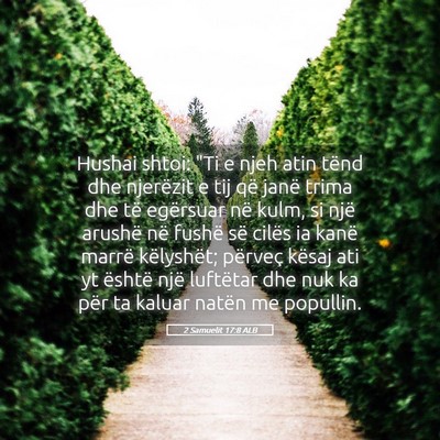 Picture 05 - 2 Samuelit 17:8 ALB - Hushai shtoi: 