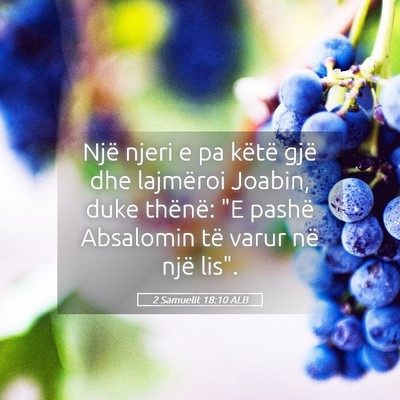 Picture 05 - 2 Samuelit 18:10 ALB - Një njeri e pa këtë gjë dhe lajmëroi Joabin, - Bible Verse Picture