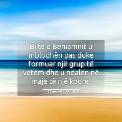 Picture 05 - 2 Samuelit 2:25 ALB - Bijtë e Beniamnit u mblodhën pas duke formuar - Bible Verse Picture