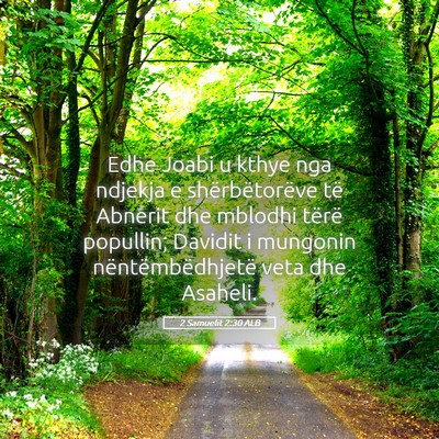 Picture 05 - 2 Samuelit 2:30 ALB - Edhe Joabi u kthye nga ndjekja e shërbëtorëve - Bible Verse Picture