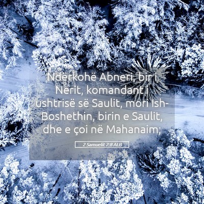 Picture 05 - 2 Samuelit 2:8 ALB - Ndërkohë Abneri, bir i Nerit, komandant i - Bible Verse Picture