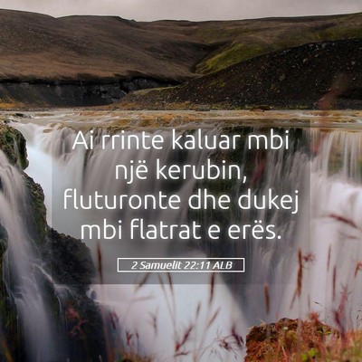 Picture 05 - 2 Samuelit 22:11 ALB - Ai rrinte kaluar mbi një kerubin, fluturonte dhe - Bible Verse Picture